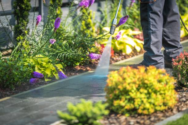 Best Pool Deck Cleaning  in Rutherford, NJ