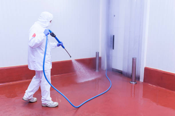 Best Sidewalk and Walkway Cleaning  in Rutherford, NJ